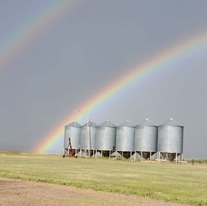 Meet your Posher, Rose